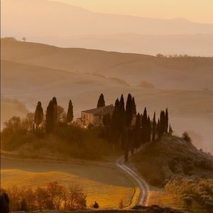 Meet your Posher, Heidi